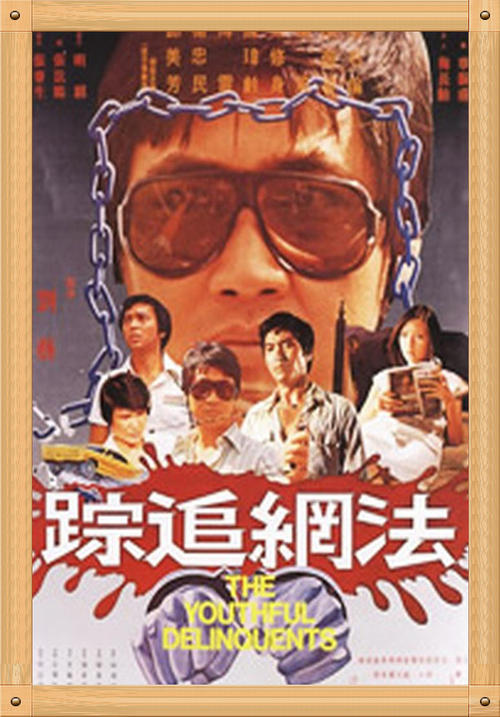 難逃法網(wǎng) 中文版